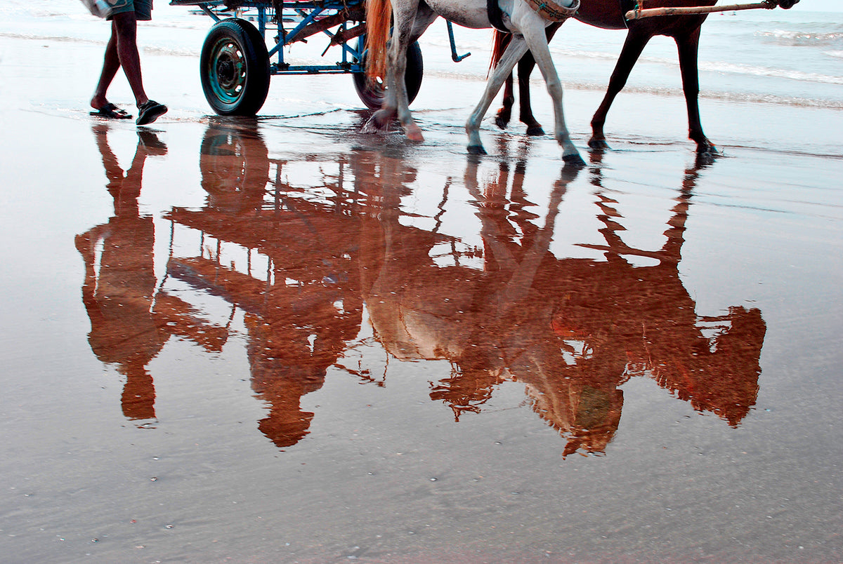 Glory in the Reflection