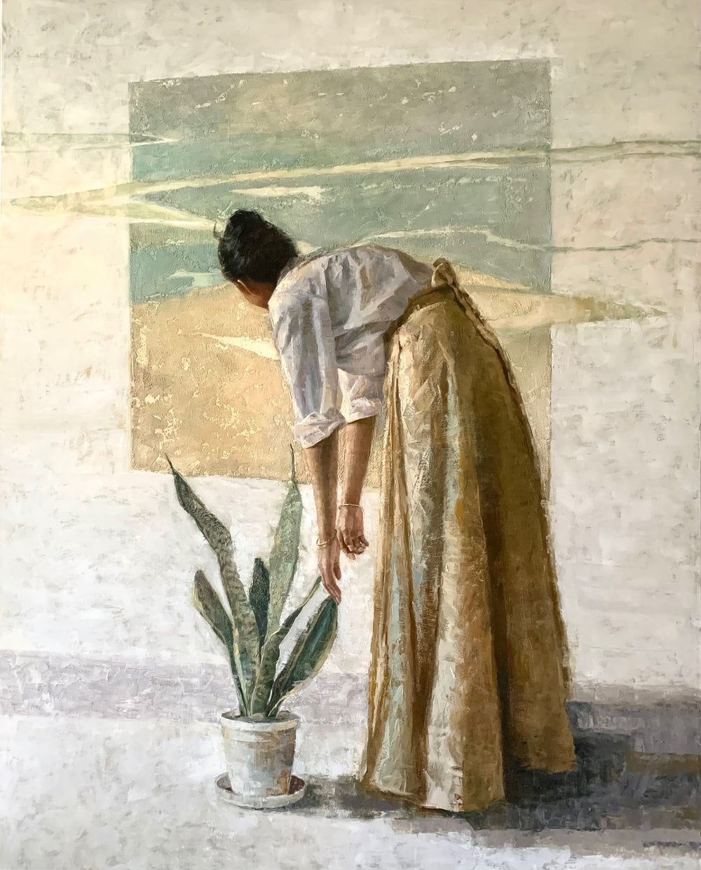 An Indoor Plant
