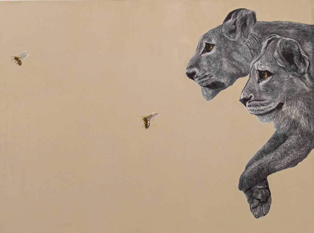 SAFARI -The FLY I