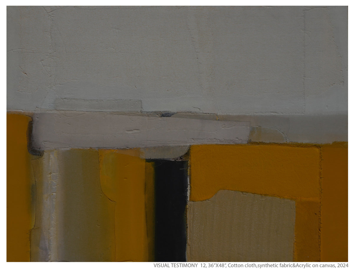VISUAL TESTIMONY  12