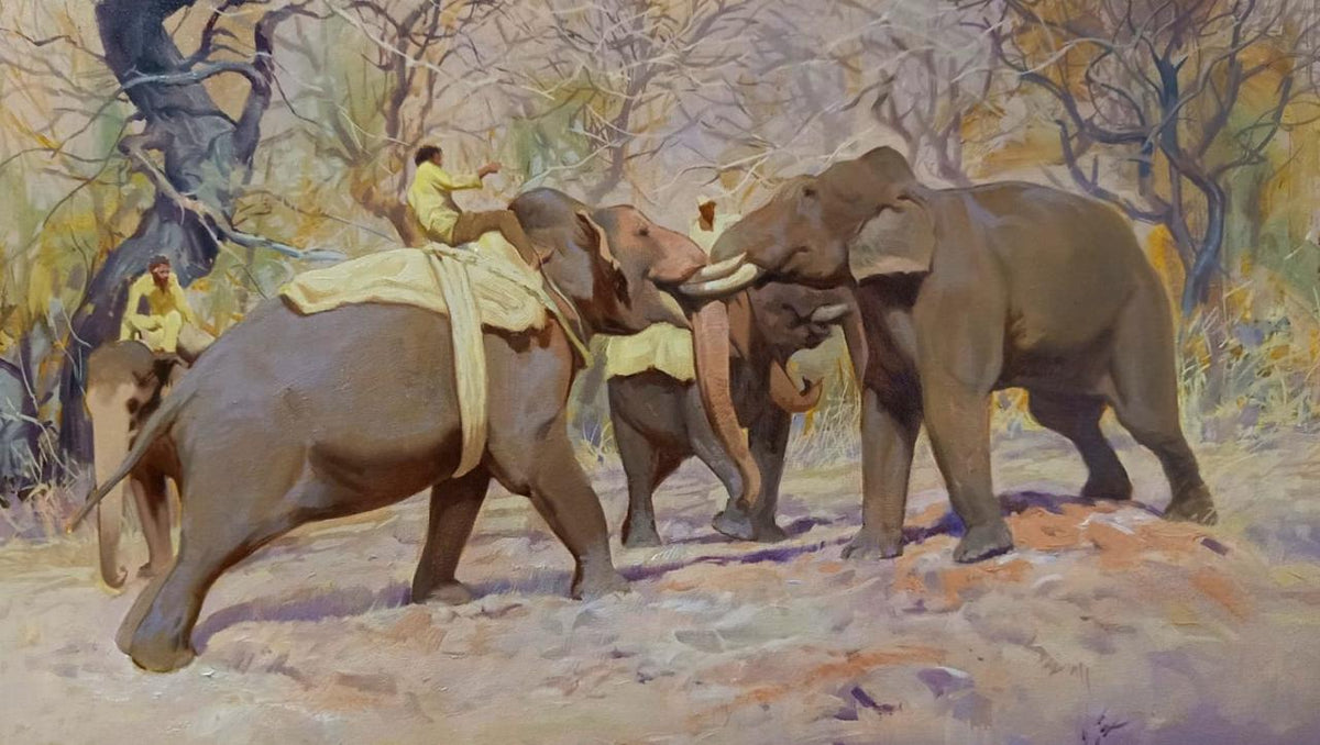 Elephant capturing