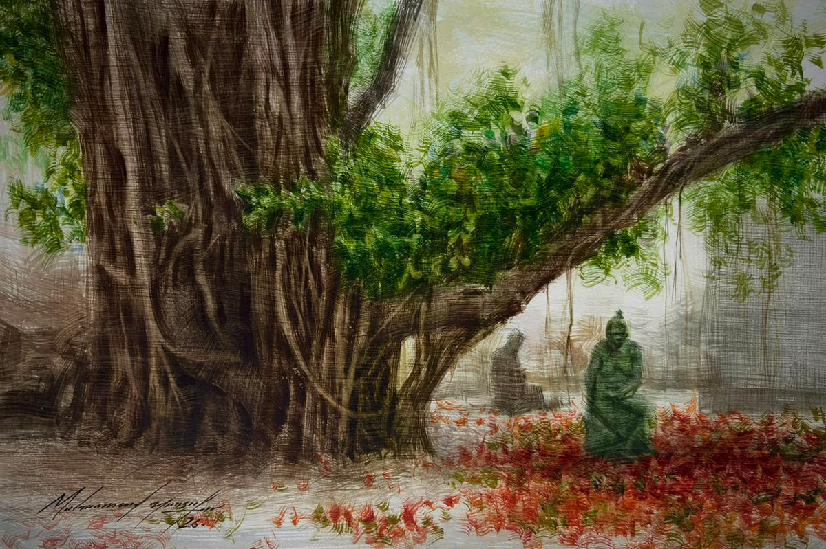 Gulmohar