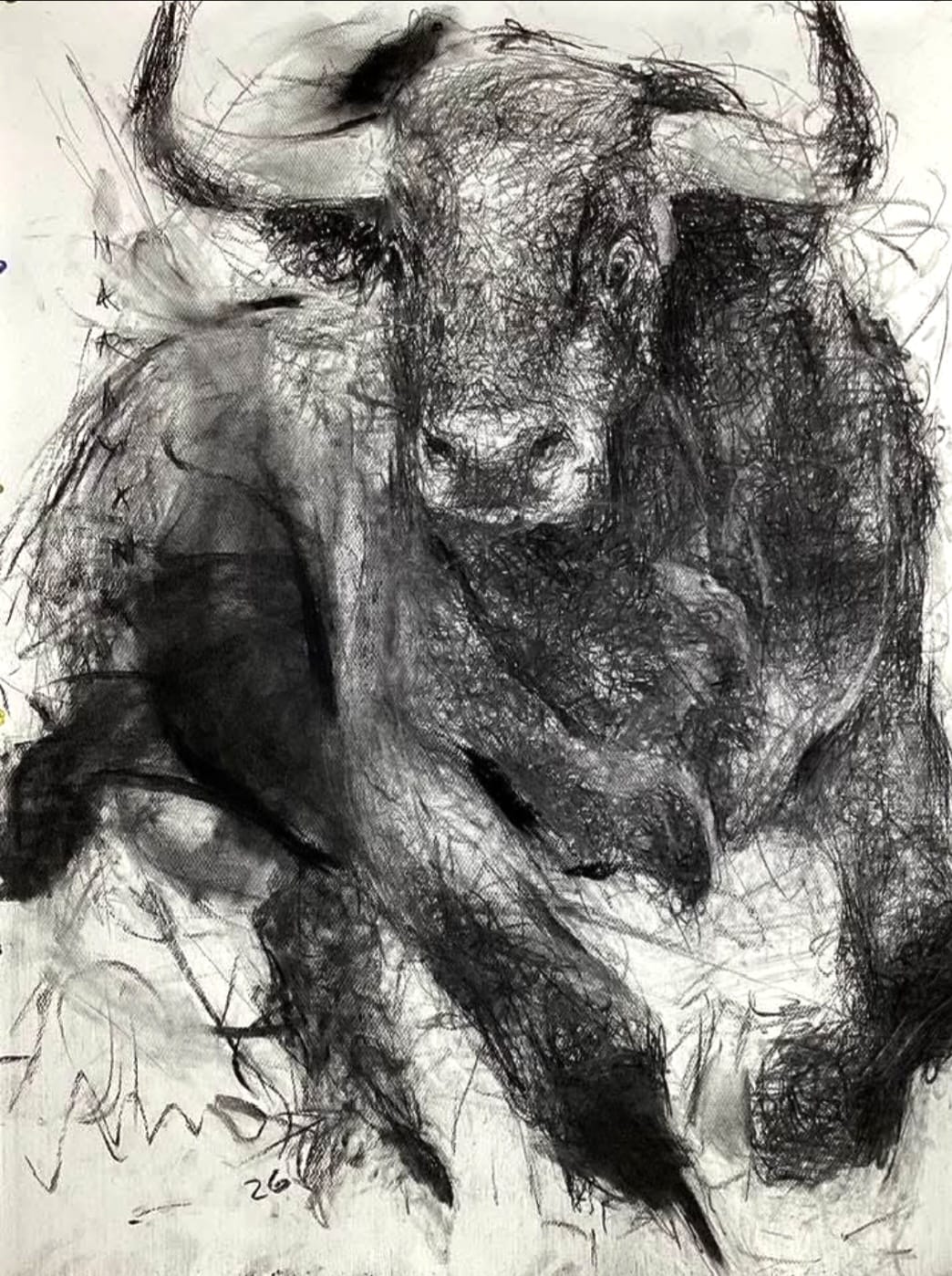 Bull