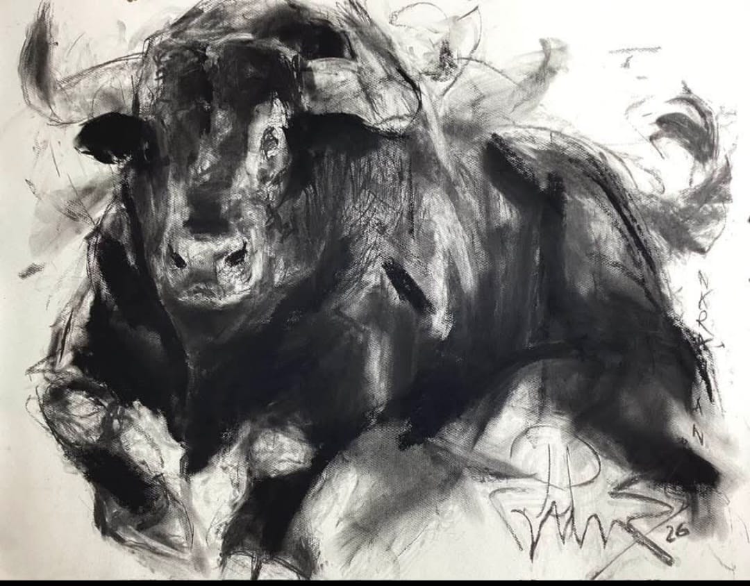Bull 2