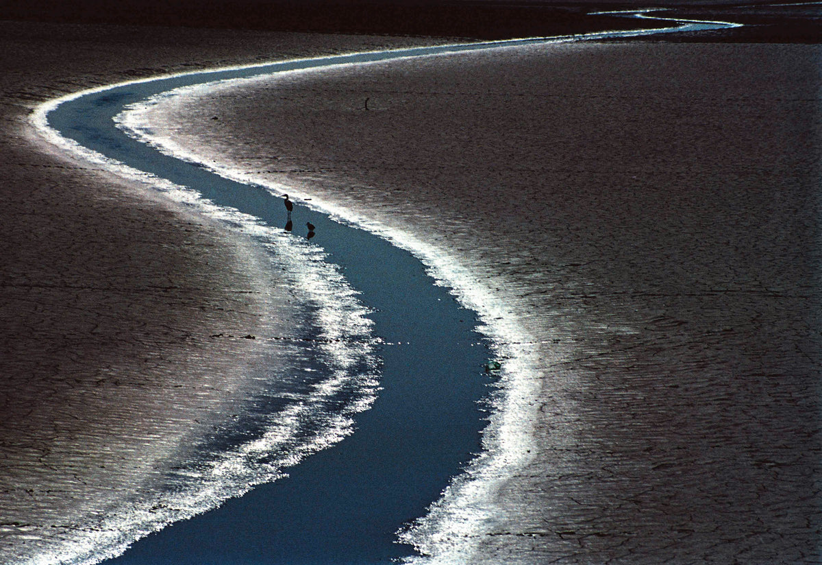 And still, the water is flowing.