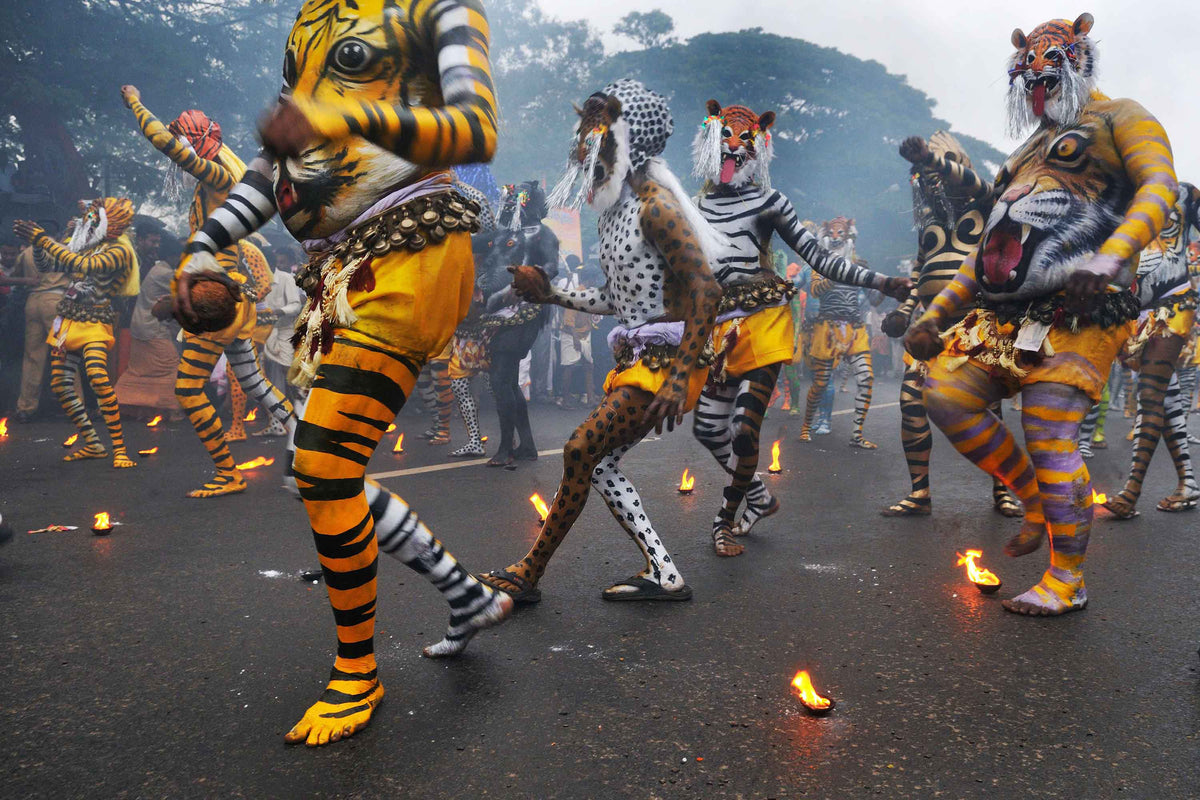 WHO LET THE TIGERS OUT?